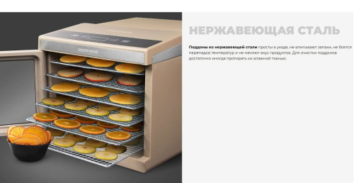 Сушильный шкаф для овощей и фруктов Redmond FD1105 бежевый