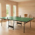 Теннисный стол Central Sport Indoor Flick (green) с сеткой Теннисный стол Central Sport Indoor Flick (green) с сеткой
