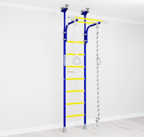 ДСК Romana R5 синяя слива