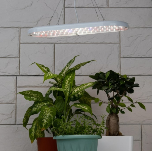 Светильник для растений ЭРА FITO-25W-QLED-FLY / Б0053062