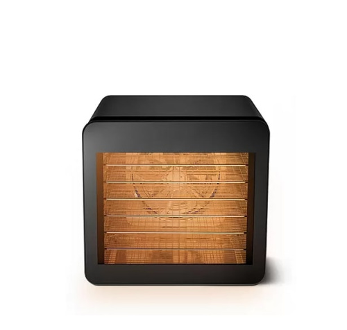 Сушильный шкаф для овощей и фруктов BQ FD1006 черный сталь