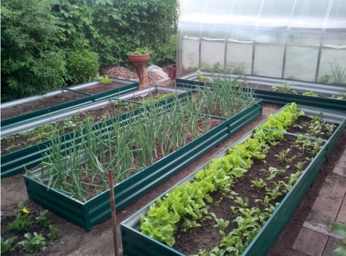 Удлинитель для грядки Синьор Помидор 2 м ширина 1м зелёный мох