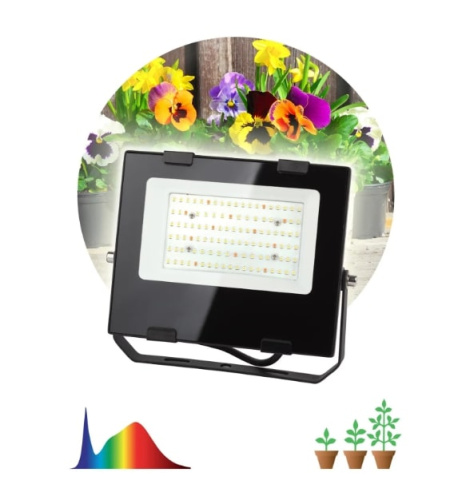 Светильник для растений ЭРА FITO-50W-Ra90-LED / Б0047875