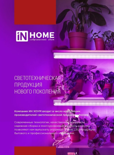 Светильник для растений INhome СНО-Т2-Фито / 4690612053561