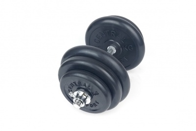 Гантель разборная Central Sport Lockout 32кг