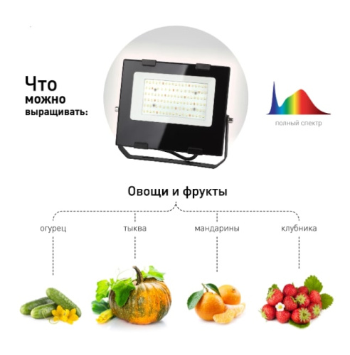 Светильник для растений ЭРА FITO-50W-Ra90-LED / Б0047875