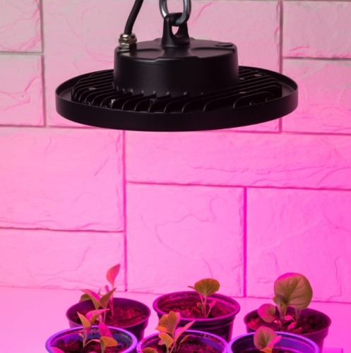 Светильник для растений ЭРА FITO-50W-RB-LED-UFO / Б0053280