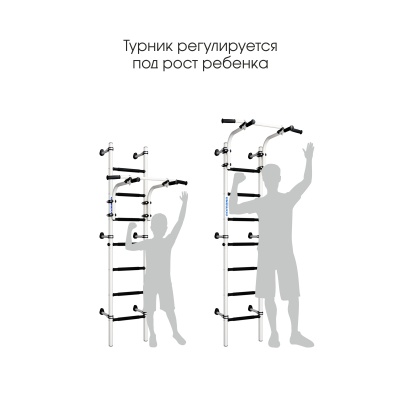 ДСК Romana S10 черный