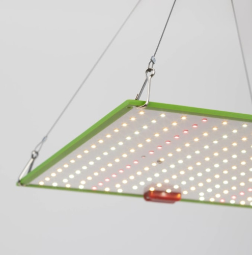 Светильник для растений ЭРА Quantum Board FITO-80W-LED-QB / Б0053285