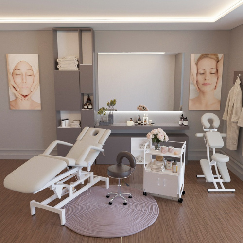 Массажный стол Элеганс МД - 849 (белый №89 189)