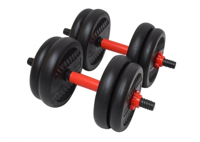 Набор гантелей со штангой и гирями 6 в 1 TREX SPORT 15 кг