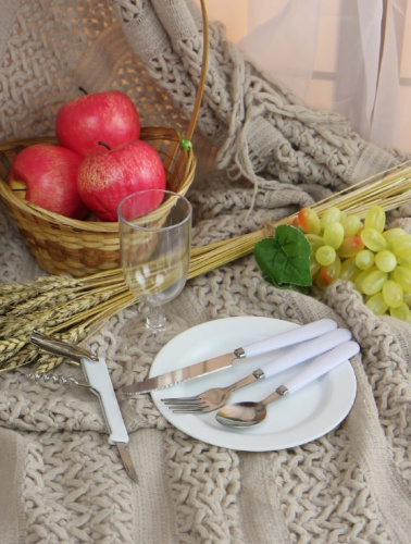 Подарочный набор No Brand ZQ-24433 для пикника