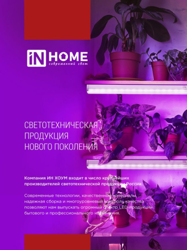 Светильник для растений INhome ТНО-Т2-Фито / 4690612053578