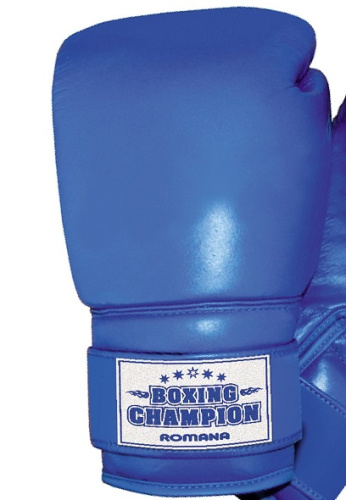 Перчатки боксерские Романа для детей 10-12 лет ДМФ-МК-01.70.05 