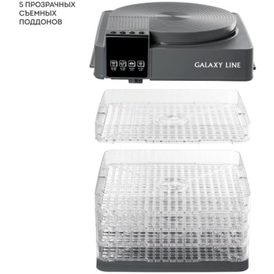 Сушилка для овощей и фруктов Galaxy GL 2630 серый