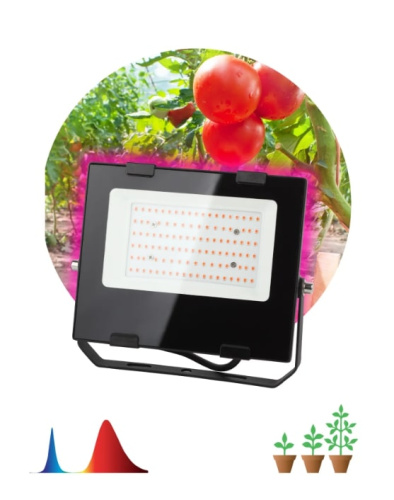 Светильник для растений ЭРА FITO-50W-RB-LED / Б0046368