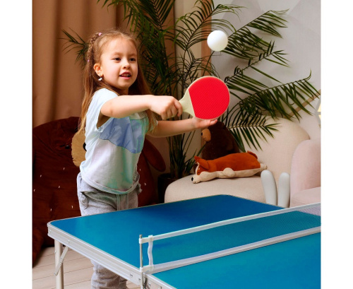 Теннисный стол DFC 48 122 x 76 см