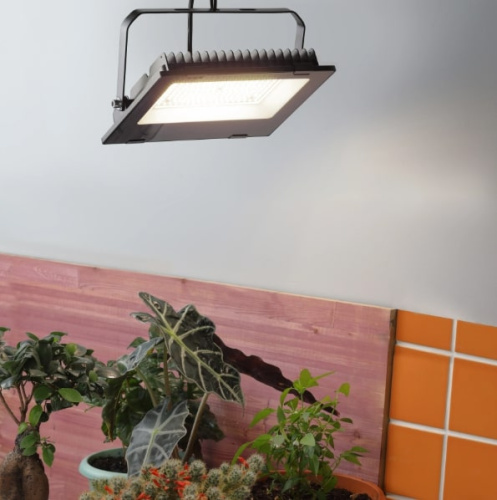 Светильник для растений ЭРА FITO-100W-Ra90-LED / Б0047876