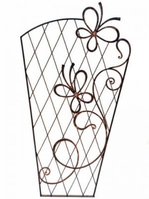 Веерная шпалера Ш6