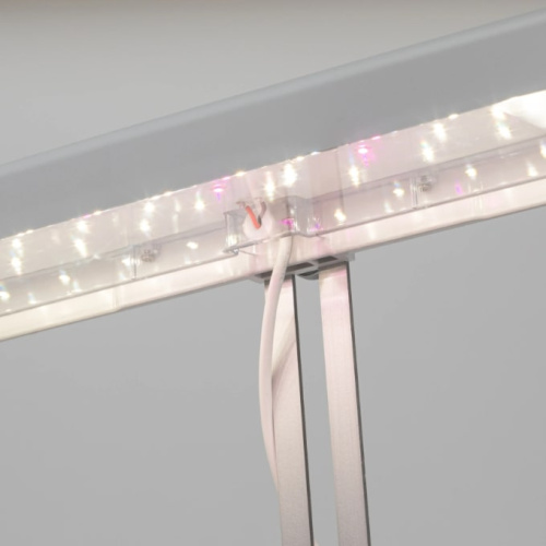 Светильник для растений ЭРА FITO-20W-QLED-W / Б0039034