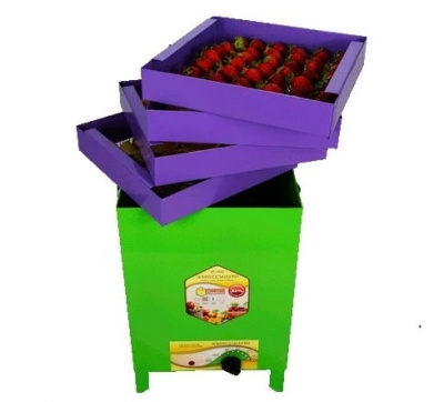 Электросушилка сухофрукт В02