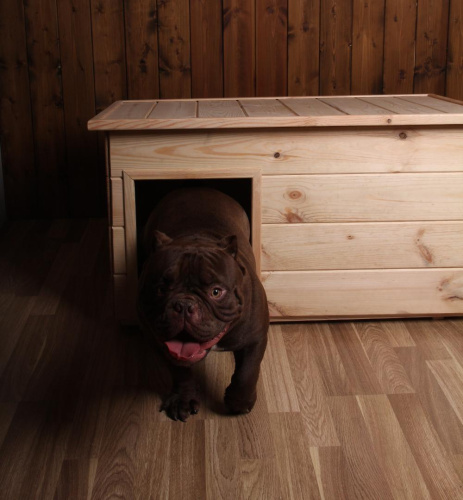 Будка для собак №3 неокрашенная