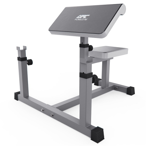 Скамья Скотта DFC Homegym AY001