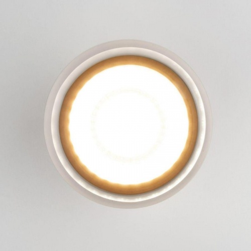 Светильник уличный Elektrostandard Light LED 2107 35140/H белый