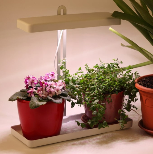 Светильник для растений ЭРА FITO-20W-QLED-W / Б0039034