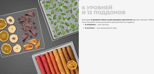 Сушильный шкаф для овощей и фруктов Redmond FD1105 бежевый