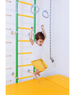 ДСК Romana S6 зеленое яблоко