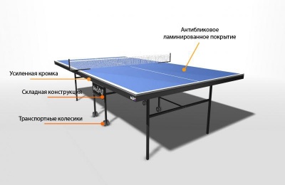 Теннисный стол Wips Royal 61021