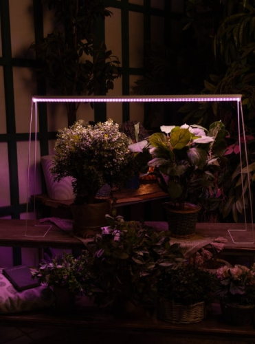 Светильник для растений Uniel ULI-P13-35W/SPLE IP40 / UL-00007514