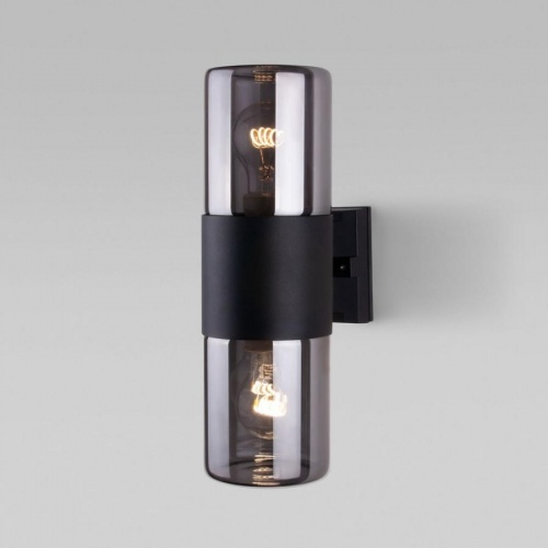 Бра уличное Elektrostandard Roil 35125/D черный/дымчатый