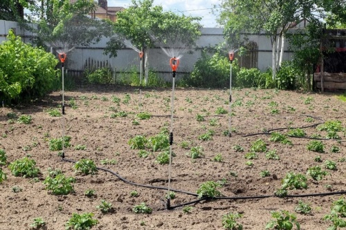 Полив Жук для картофельных полей