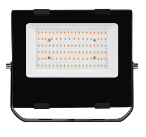 Светильник для растений ЭРА FITO-50W-RB-LED / Б0046368