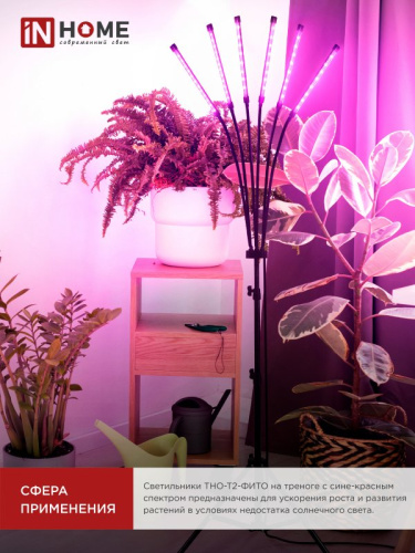 Светильник для растений INhome ТНО-Т2-Фито / 4690612053578