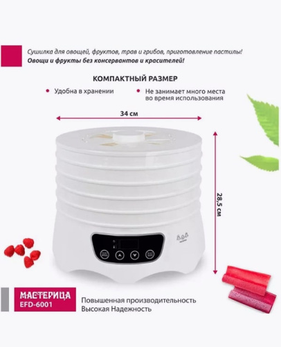 Сушилка для овощей и фруктов Мастерица EFD-6001 белый