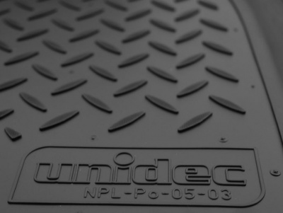 Коврик багажника Renault Dokker 2012 пассажирский\ MiniVan