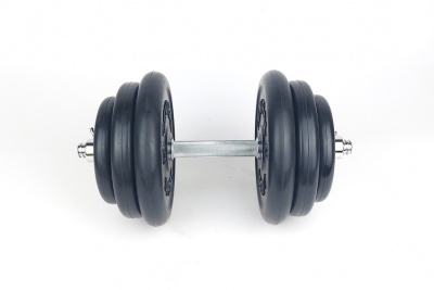 Гантель разборная Central Sport Lockout 32кг