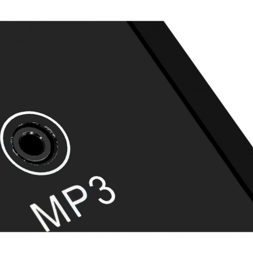 Электрическая беговая дорожка Titanium Masters Physiotech TBM