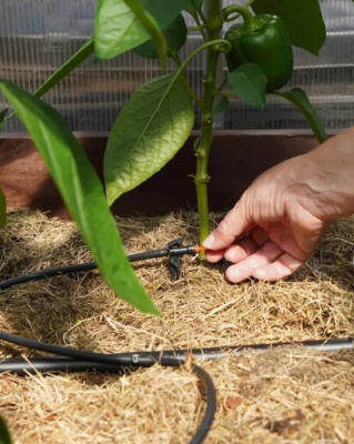 Система капельного полива Жук От емкости на 90 растений с таймером и капельницами (8005-00)