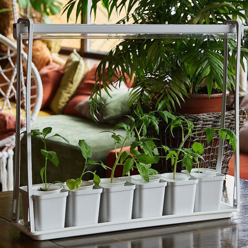 Мини-парник для рассады Uniel ULT-P56-10W/SPSB IP20 Marble Econom / UL-00006094