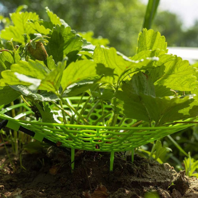 Капельный полив Жук для клубники от емкости 20 растений