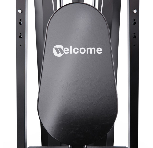 Силовой комплекс DFC WRK-5000