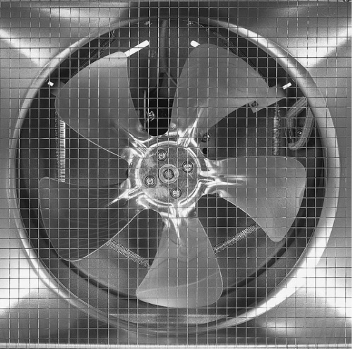 Сушилка для овощей и фруктов Kitfort КТ-4931
